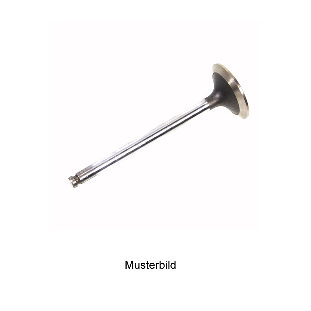 Einlaßventil Fiat Bravo Brava Marea Stilo 1,9 JTD Lancia 1,9 JTD