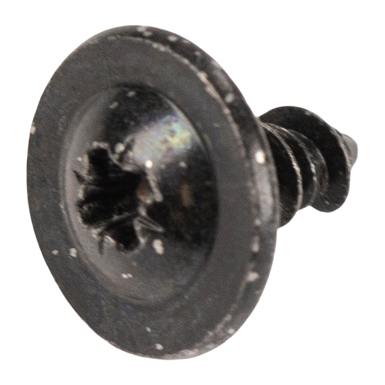 Schraube für den Kennzeichenhalter vorne Alfa Romeo Giulia ab Bj. 2016 Fiat 500X, Punto Jeep Compass, Renegade